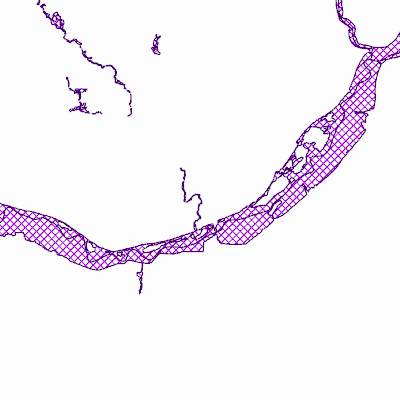 Export Image