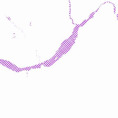 Export Image