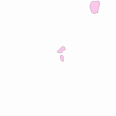 Export Image